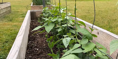 Getting Started in the Garden