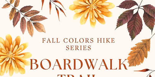 Fall Colors Hike - Boardwalk
