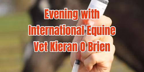 My Top Tips - Giving Your Horse Medication.  