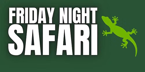 Friday Night Safari