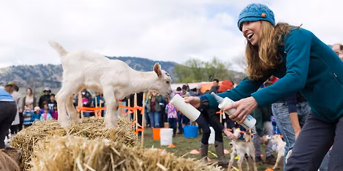 Baby Goat Bottle Feeding & Dairy Farm Tour