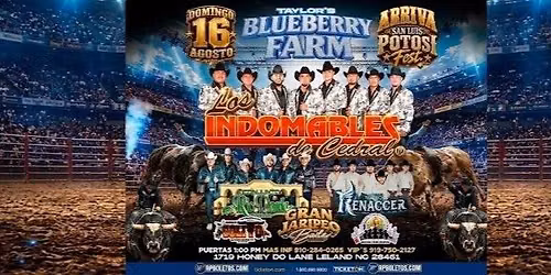 LOS INDOMABLES DE CEDRAL, CONJUNTO RIO VERDE & MAS