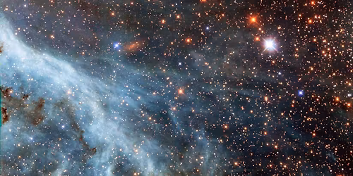 Frances Hardinge Symposium