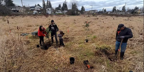 Catstream Workparty. Sunday March 22nd - Pulling to Gather