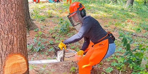 Chainsaw safety training SAWW 1