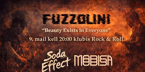 Fuzzolini plaadiesitlus Tartus