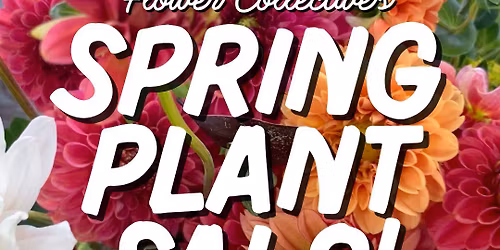 New Orleans Flower Collective's Spring PLANT SALE!