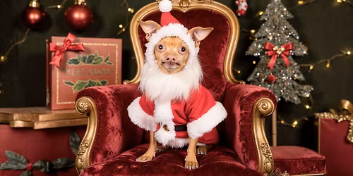 The Shambles Bar Holiday Pawty