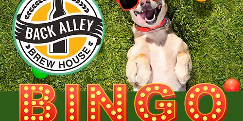 Bingo Night @ Back Alley!