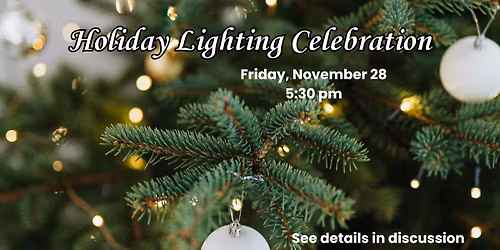 Holiday Lighting Celebration