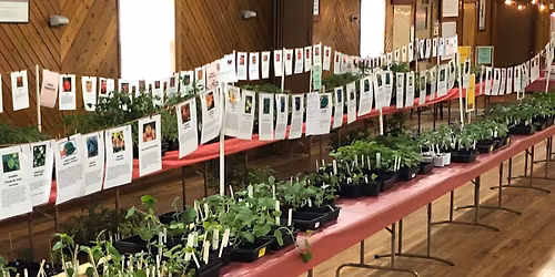 Annual Plant Sale