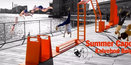 Summer Capoeira - Kalvebod B\u00f8lge - Cm.Galo