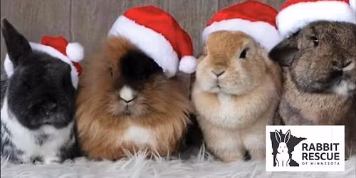 RRMN Romp & Spa\/ nail trim and Christmas photo booth event