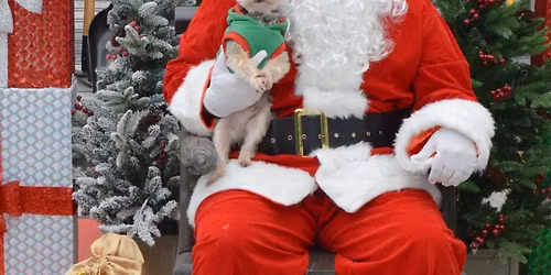 Pictures with Santa!