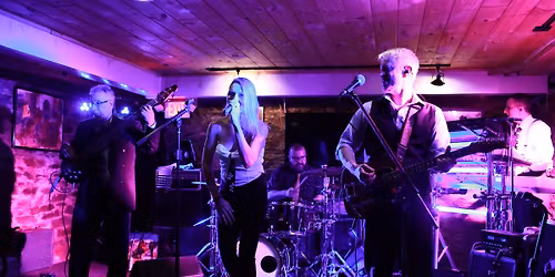 The Real News returns to Star Cider