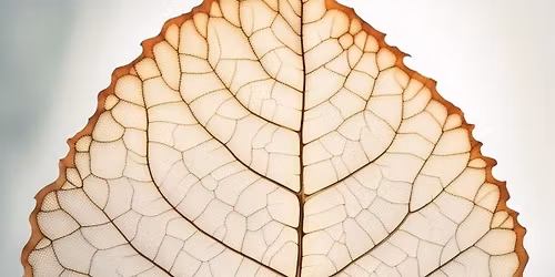 "Moje tak, moje nie" czyli sztuka stawiania granic - praktyczny warsztat