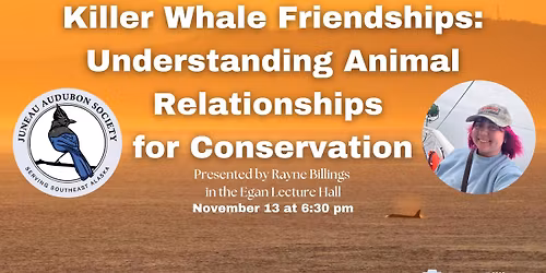 Killer Whale Friendships: Understanding Animal Relationships  for Conservation