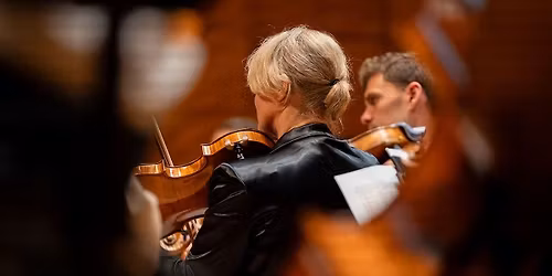 The Voice of the Viola: Fiona Sargeant