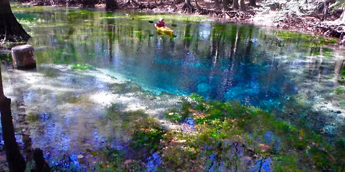 Chipola River Highlights, Lodge