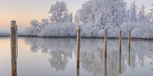 Annual Winter Solstice Wreath Making & Soundbath