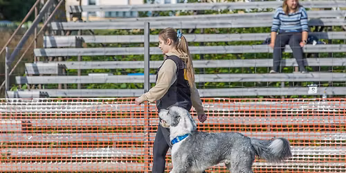 BH-kurssip\u00e4iv\u00e4 Muuramessa