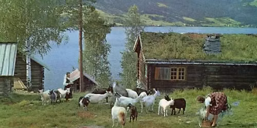 Sommertur til Valdres