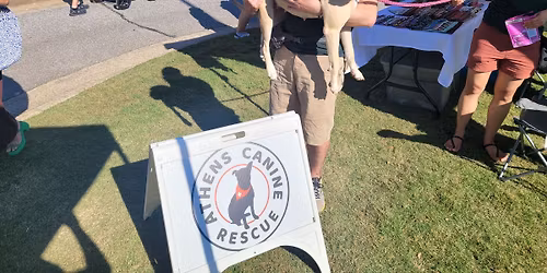Athens Farmer's Market at Bishop Park 