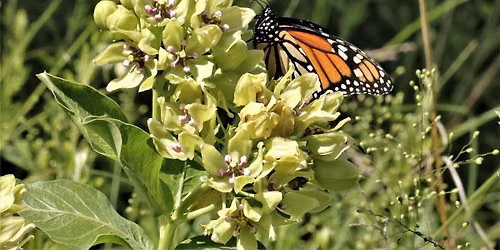 Leave No Trace for Williamson County Preserves