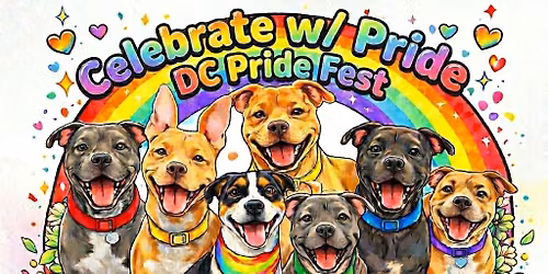 \ud83c\udff3\ufe0f\u200d\ud83c\udf08\ud83e\udee7\ud83d\udc36Suds & Solidarity: All Paws Are Created Equal \ud83d\udc36\ud83e\udee7\ud83c\udff3\ufe0f\u200d\ud83c\udf08