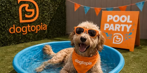 Dogtopia Pool Party!