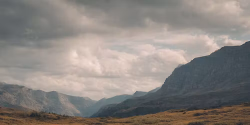 Longhorn live! At Lakeside on Hauser