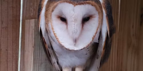 Wild Birds Unlimited Meet and Greet