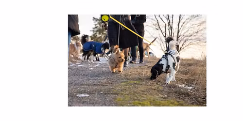 \u00c5rets siste fellestur \ud83c\udf84\ud83c\udf85\ud83c\udffc