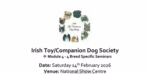 Irish Toy\/Companion Dog Society Module 4 - 4 Breed Specific Seminars