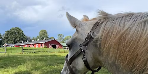 Stories of Hope Tour