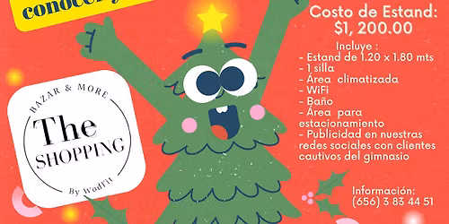 Bazar Navide\u00f1o The Shopping 2025