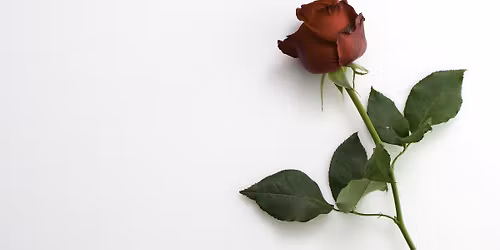 Det \u00e4r en ros utsprungen