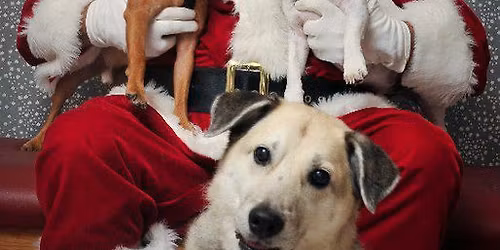 Central Pasco Veterinary Care's Annual Pet Photo's with Santa Fundraiser for Pet Oxygen Masks
