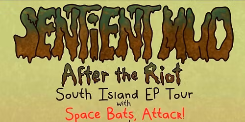 After the Riot - Sentient Mud EP release tour - Dunedin