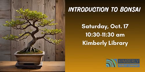 An Introduction to Bonsai