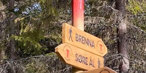 Kveldstur langs Bergsengelva i S\u00f8re \u00c5l-marka 