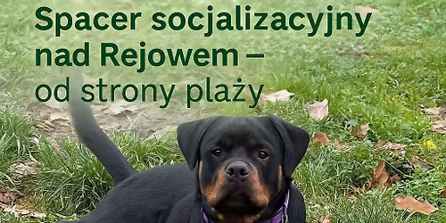 Spacer socjalizacyjny z behawiorystk\u0105 i trenerk\u0105 K9 vol. 38