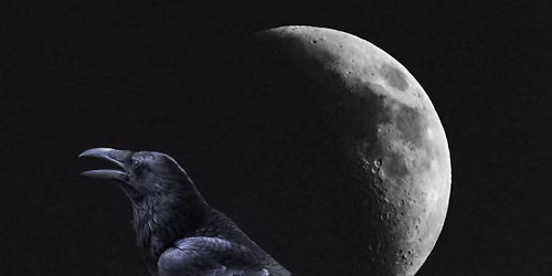 Owl-O-Ween at Badger Run