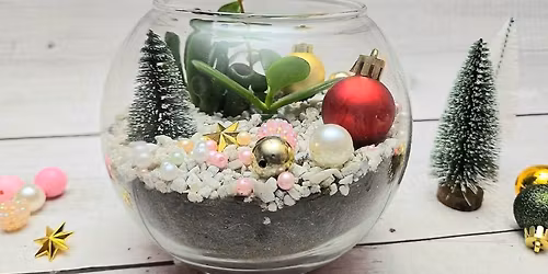 Make Your Own Terrarium 