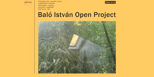 Bal\u00f3 Istv\u00e1n Open Project