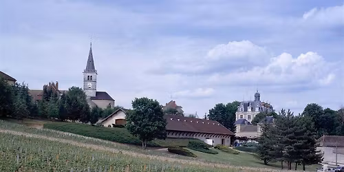 Burgundy Wine Masterclass: Maconnais & Chalonnaise