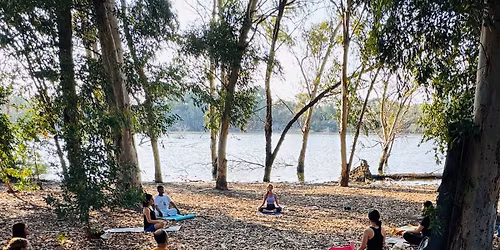 🌿Morning Yoga & Meditation in Nature