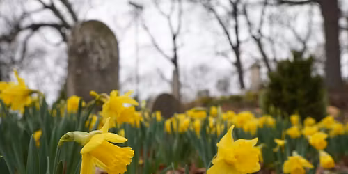 Fourth Annual Daffodil Days Celebration - Sunday