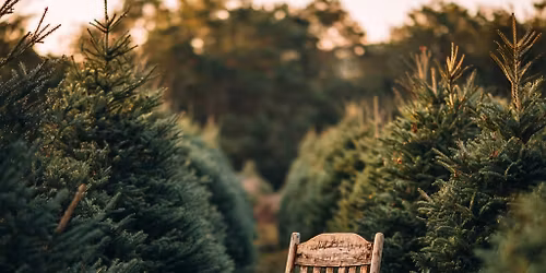 Santa Meet-n-Greet Mini Sessions!