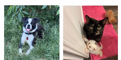 6\/21 Adoption Event at Petsmart Central Park